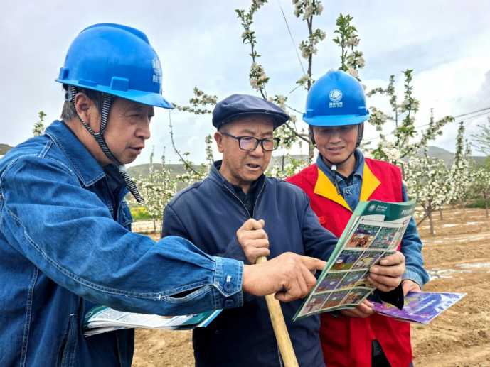 國網(wǎng)禮縣供電公司：蘋果花開油菜香 電力護(hù)航春耕忙