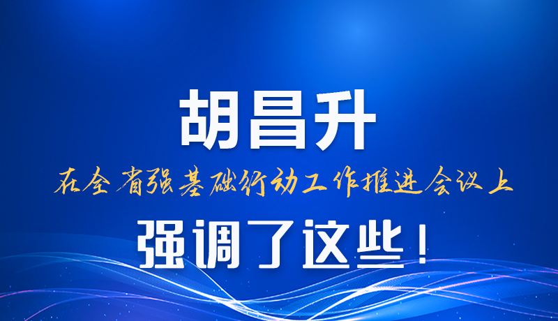 圖解|胡昌升在全省強(qiáng)基礎(chǔ)行動工作推進(jìn)會議上強(qiáng)調(diào)了這些！